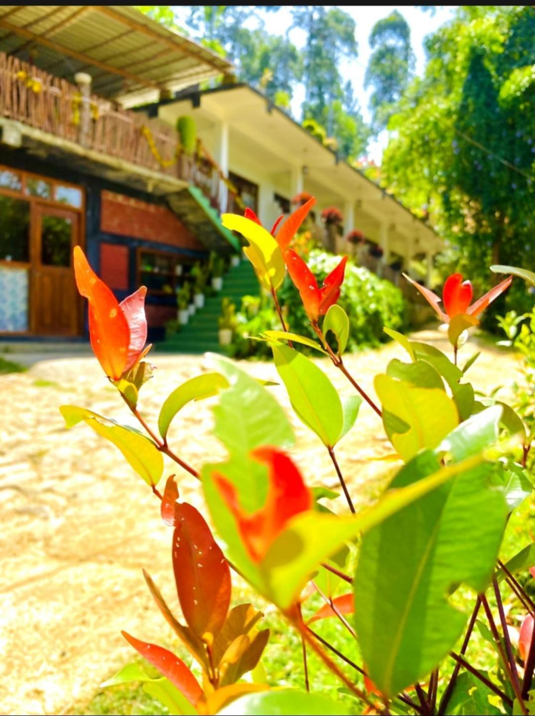 Blissful Haven Ella Exterior foto