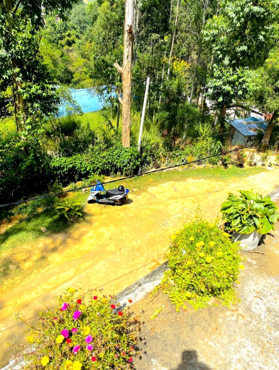 Blissful Haven Ella Exterior foto